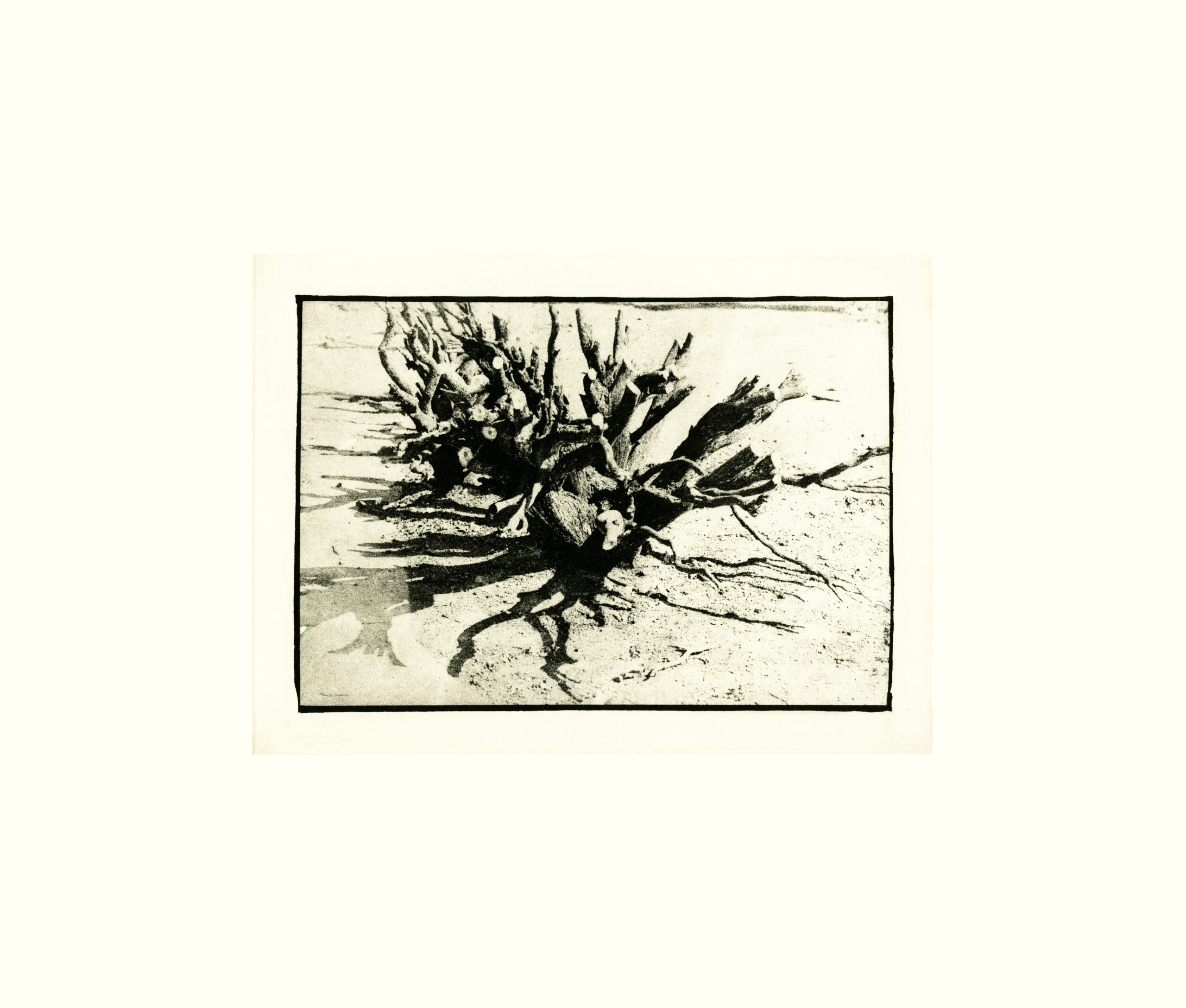 Untitled ii by David Lynch