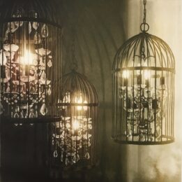 Captured Light by Anja Percival at ebo Gallery