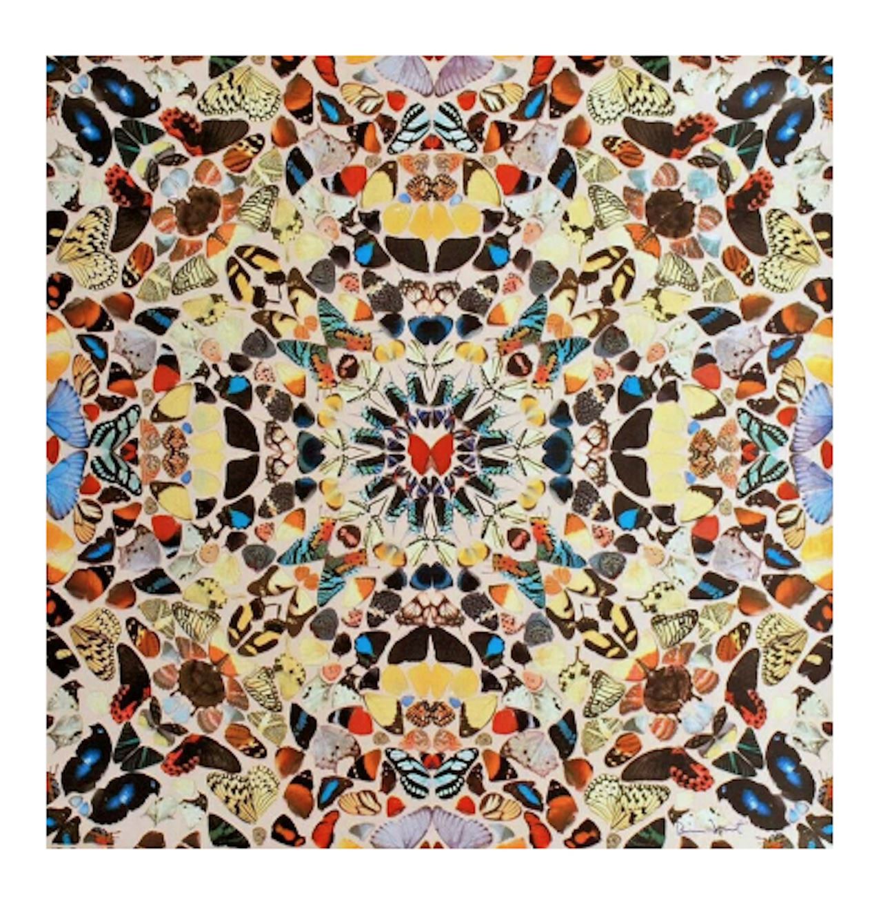 In-A-Gadda-Da-Vida, by Damien Hirst