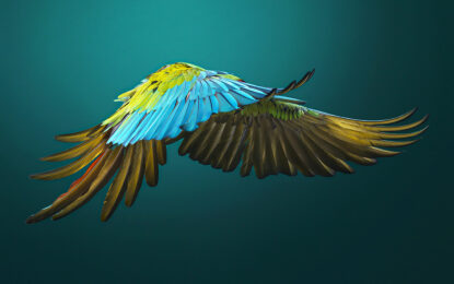 Military Macaw Side On by Tim Flach at Osborne Samuel Gallery