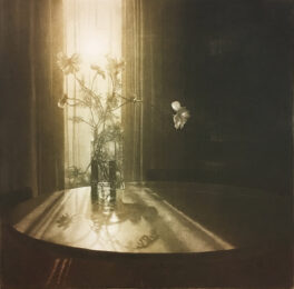 Window Light XXI by Anja Percival at ebo Gallery