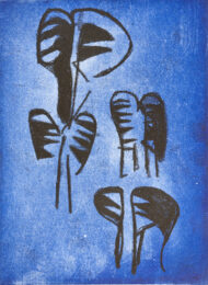 Zebras In The Evening by David Marell at VanDeb Editions