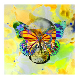Skullfly: Addicted to Yellow by Tunku Khalsom at Addicted Art Gallery