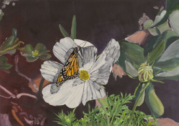 Tender Nectar 4 by Sari Davidson at Oehme Graphics