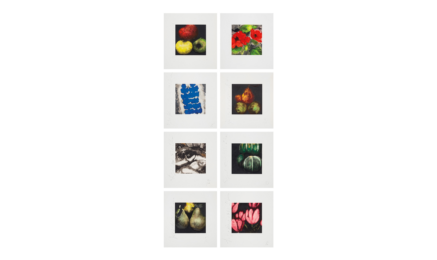 Fruit, Flowers and Fish Suite by Donald Sultan at Robin Rosenberg Fine Art
