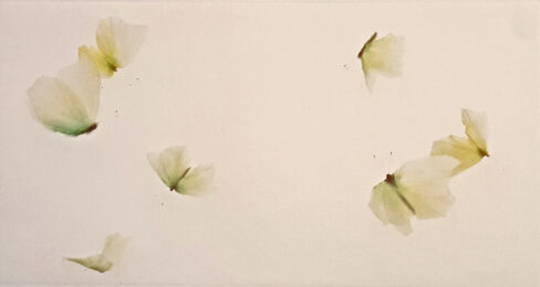 Jeu au Soleil by Mikio Watanabe at ebo Gallery
