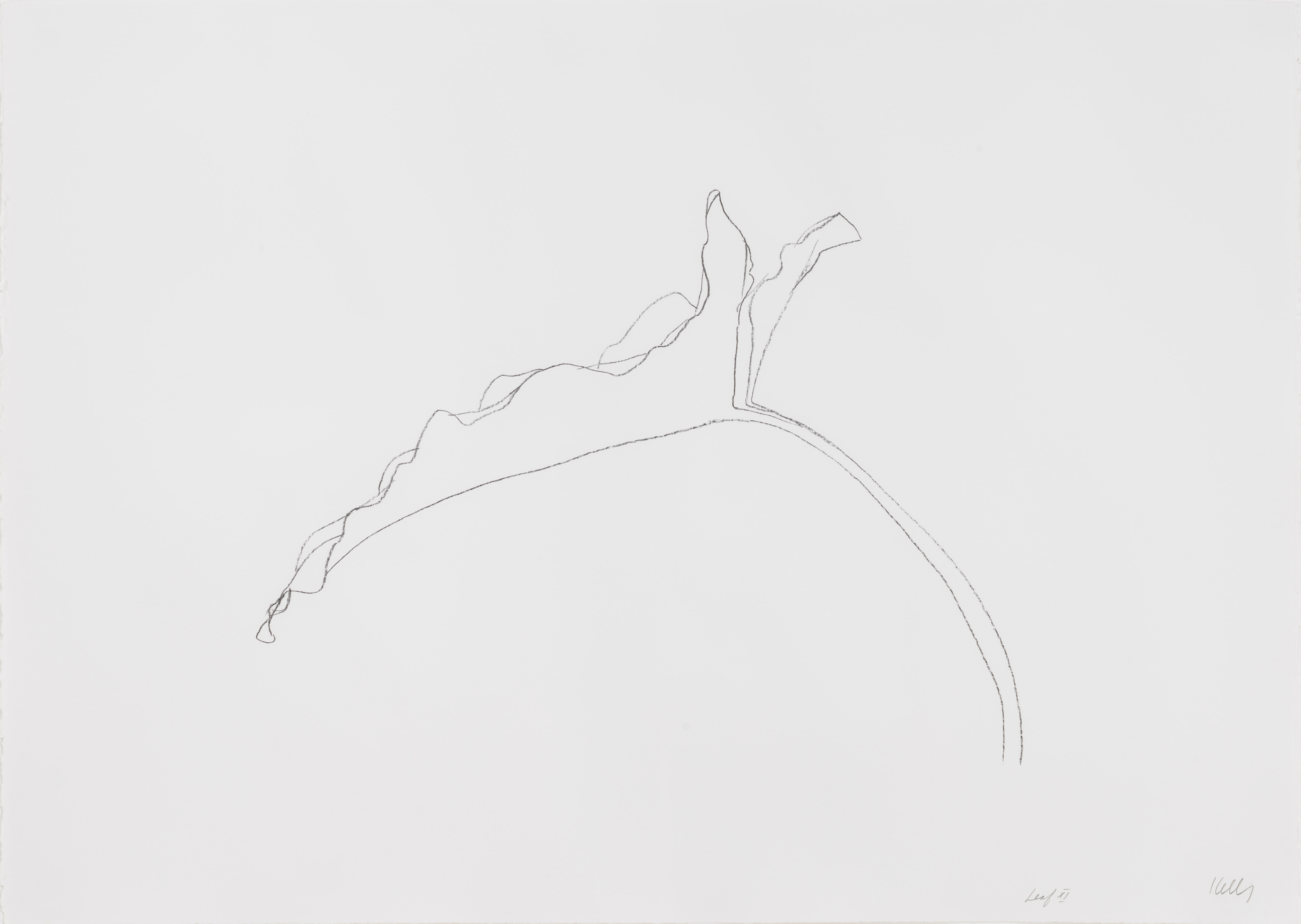 Leaf Xi by Ellsworth Kelly