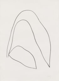 Leaves by Ellsworth Kelly at Susan Sheehan Gallery