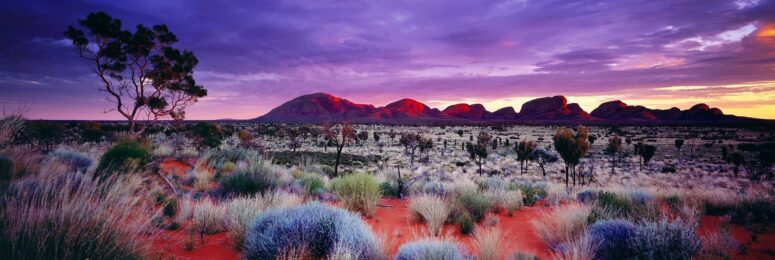 Painted Skies by Peter Lik at Michael Lisi/Contemporary Art