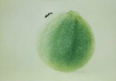 Periple by Mikio Watanabe at ebo Gallery