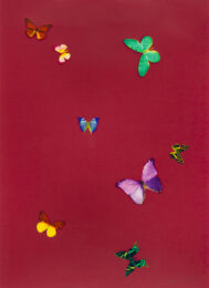 Your Smell (from The Wonder of You) by Damien Hirst at Christopher-Clark Fine Art