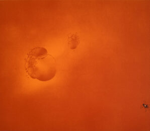 Boiling Blood, Fly by Ed Ruscha at Gilden's Art Gallery