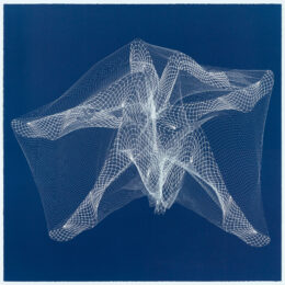 Meshes In the Afternoon II by E. V. Day at Graphicstudio