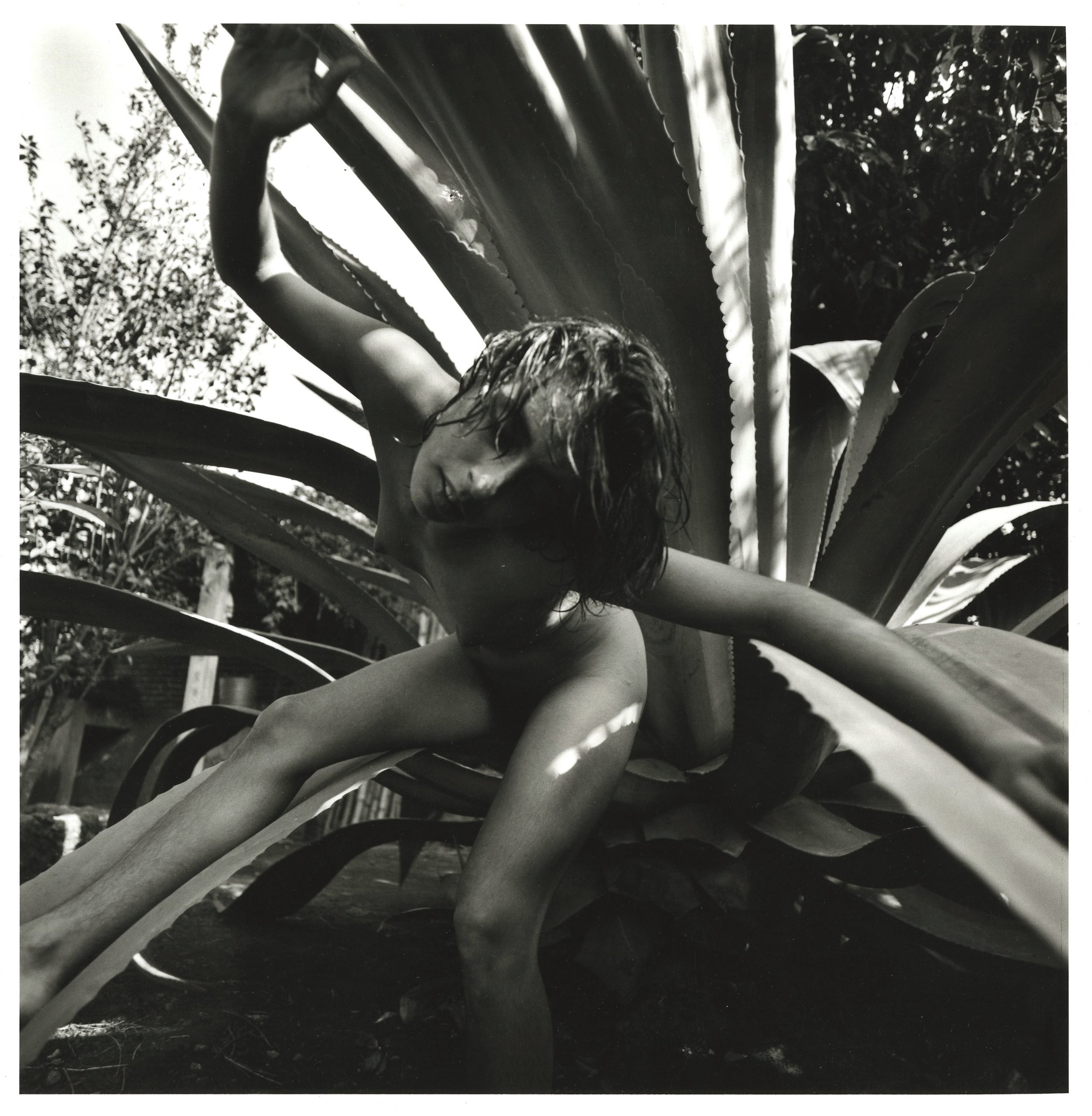 Serie: Iniciaciones Untitled Tepotzlan by Oweena Camille Fogarty