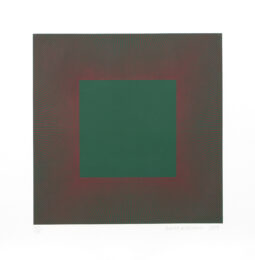 Autumn Suite (Green with Red) by Richard Anuszkiewicz at RoGallery