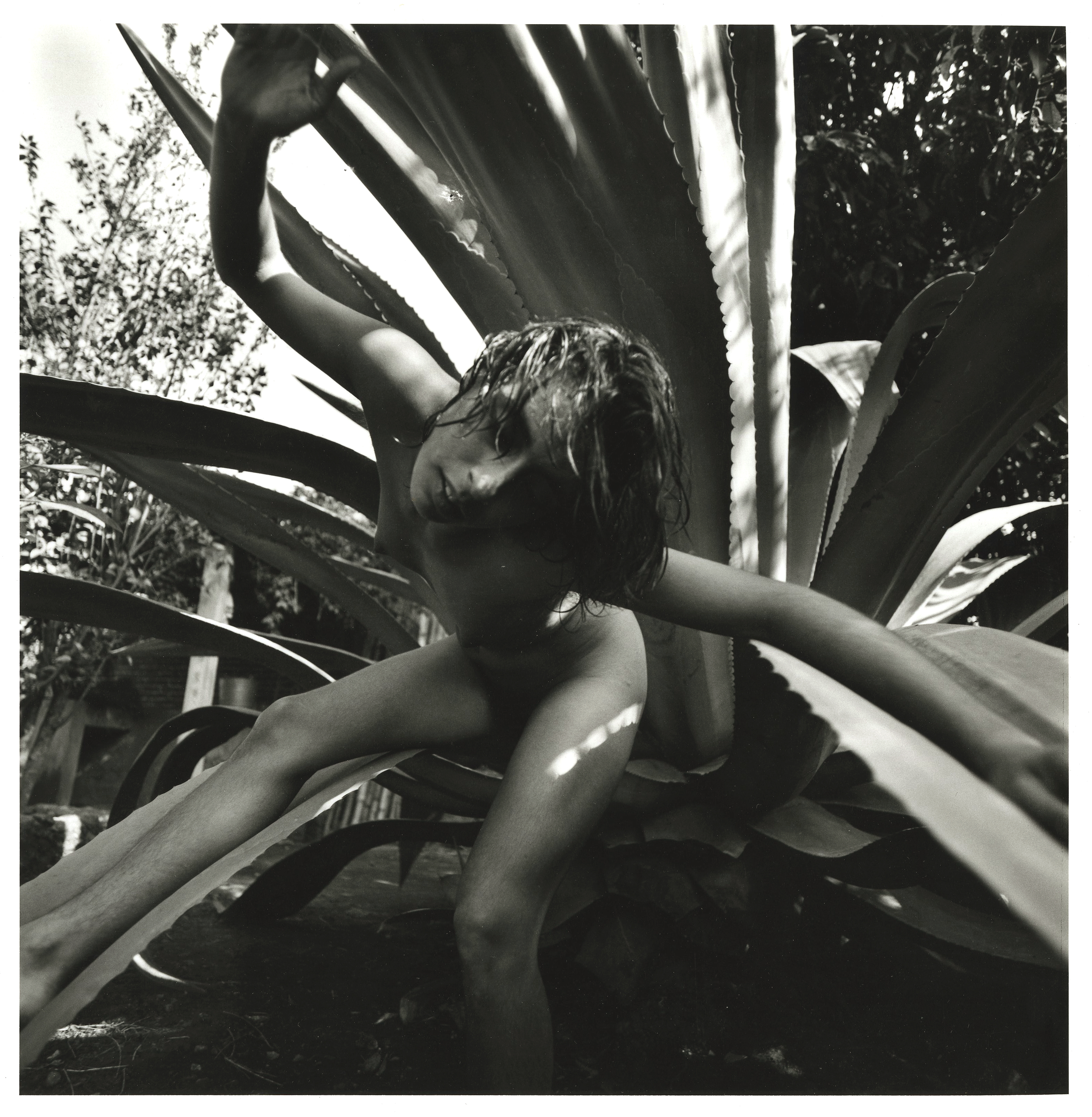 Serie: Iniciaciones Untitled Tepotzlan by Oweena Camille Fogarty
