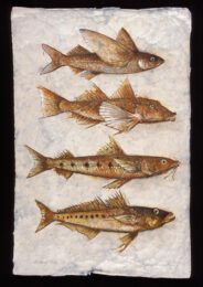 Strange Fish by John Alexander at Flatbed Press and Gallery