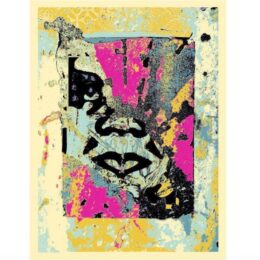 Enhanced Disintegration (Pink) by Shepard Fairey at Dovehouse Contemporary