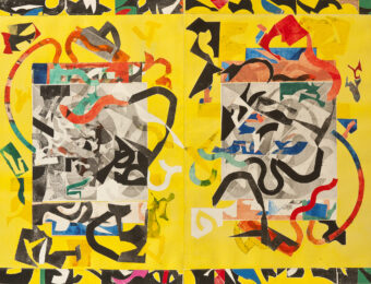Laughing Guardedly by John Schiff at VanDeb Editions