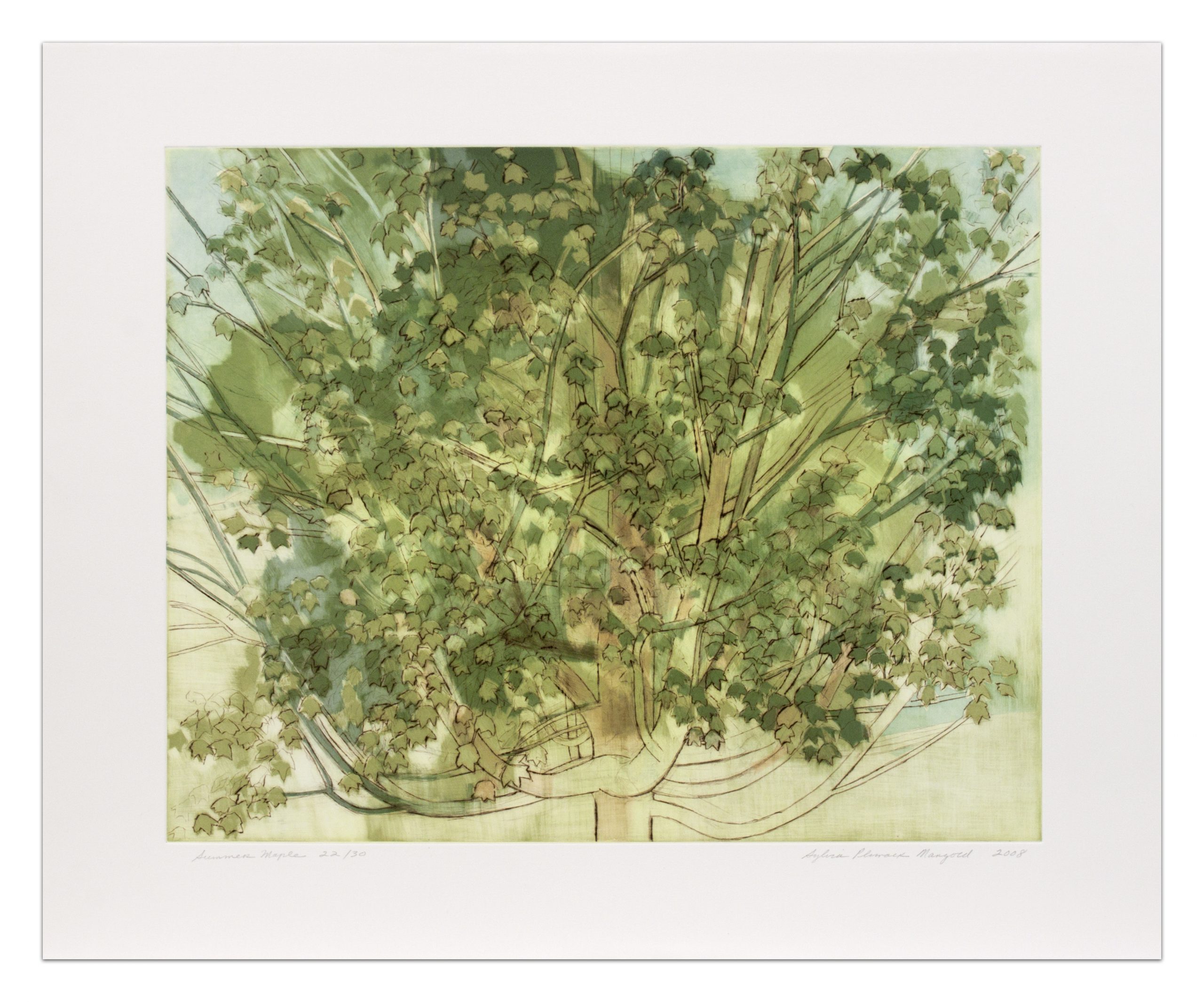 Summer Maple by Sylvia Plimack Mangold