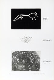 White Horse from Wessex by Joe Tilson at RoGallery