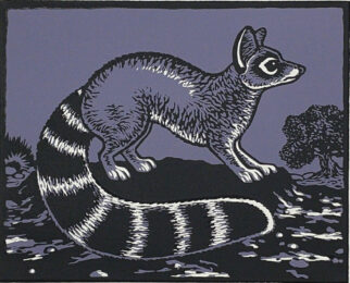 Stargazer by David Everett at Flatbed Press and Gallery