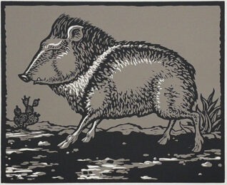Tusker by David Everett at Flatbed Press and Gallery