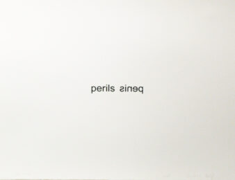 Penis Perils  (from the Psychopts portfolio) by Christopher Wool & Richard Hell at Taglialatella Galleries