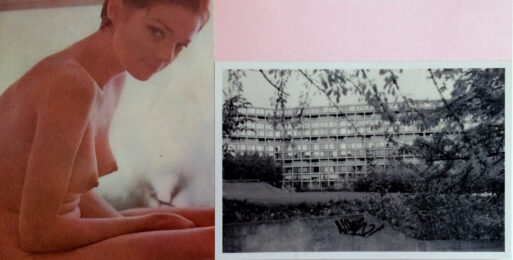 She is the song of a butterfly by Sarah Hardacre at Paul Stolper Gallery