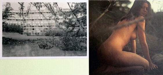 There just wasn’t anything at all to compare it with by Sarah Hardacre at Paul Stolper Gallery