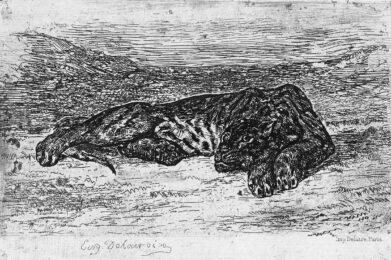 Tigre couché dans le désert (Tiger lying in the desert) by Eugène Delacroix at Emanuel von Baeyer - Cabinet