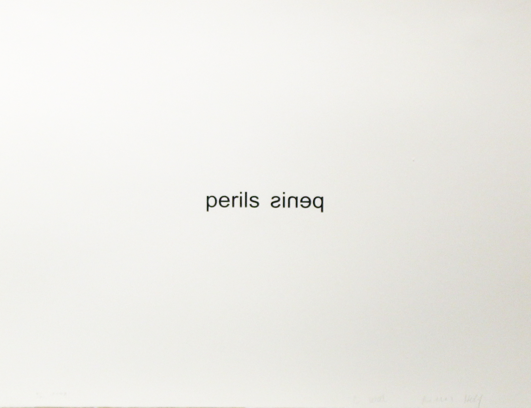 Penis Perils  (from the Psychopts portfolio) by Christopher Wool & Richard Hell