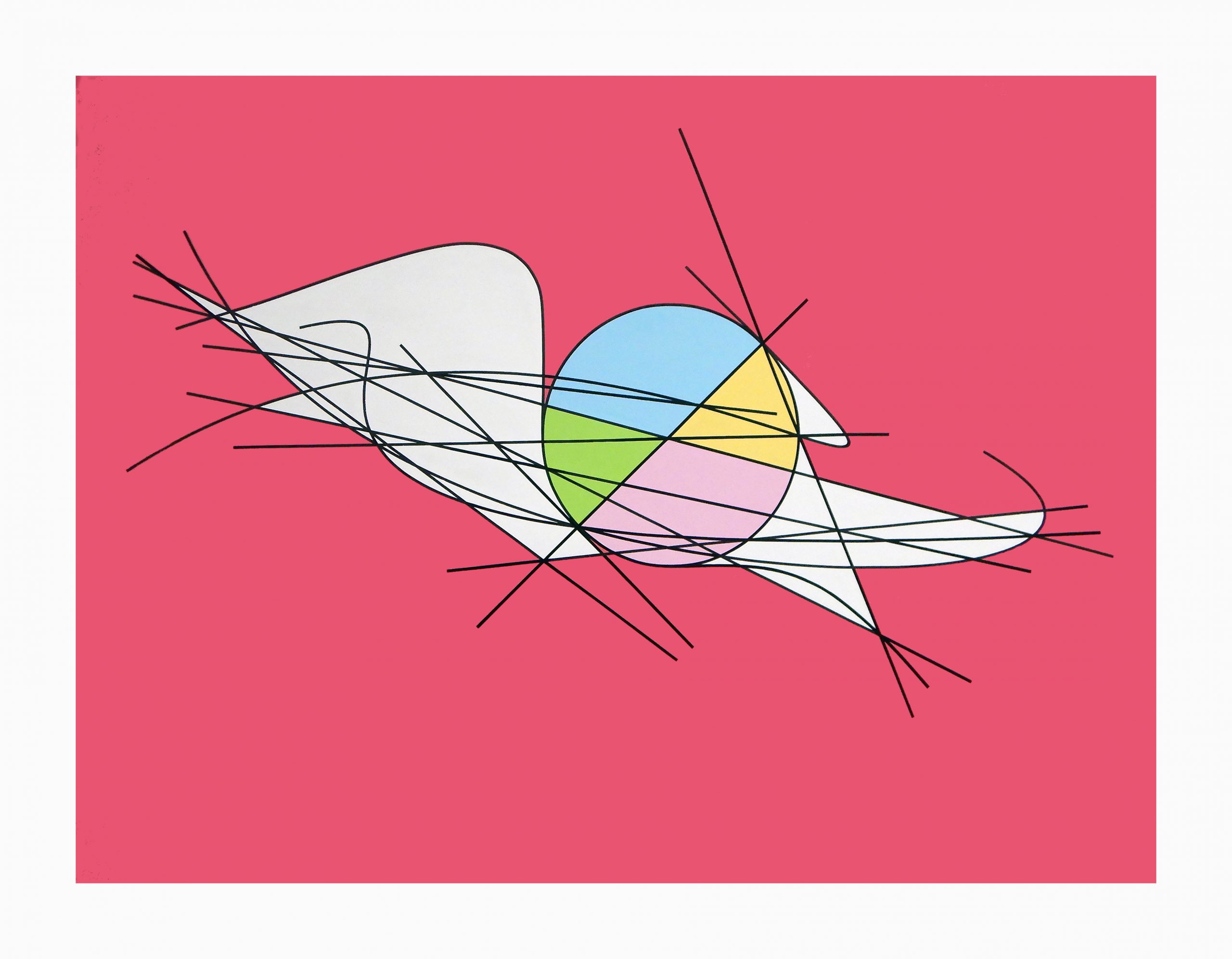 Dynamics For Osculating Circle by Clifford Singer
