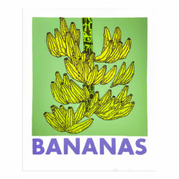 Bananas by Jonas Wood at MLTPL