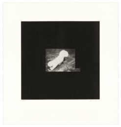 Distorted Nude Photogravure #9 by David Lynch at Tandem Press (IFPDA)