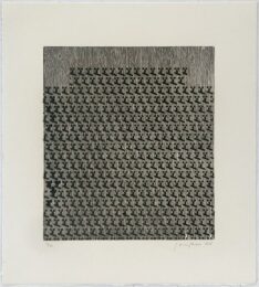 Meh by Jacqueline Humphries at Jungle Press Editions