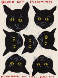 Black Cats Everywhere by David Shrigley at Dovehouse Contemporary