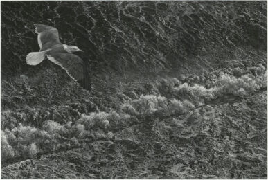 Clarity by Art Werger at ebo Gallery