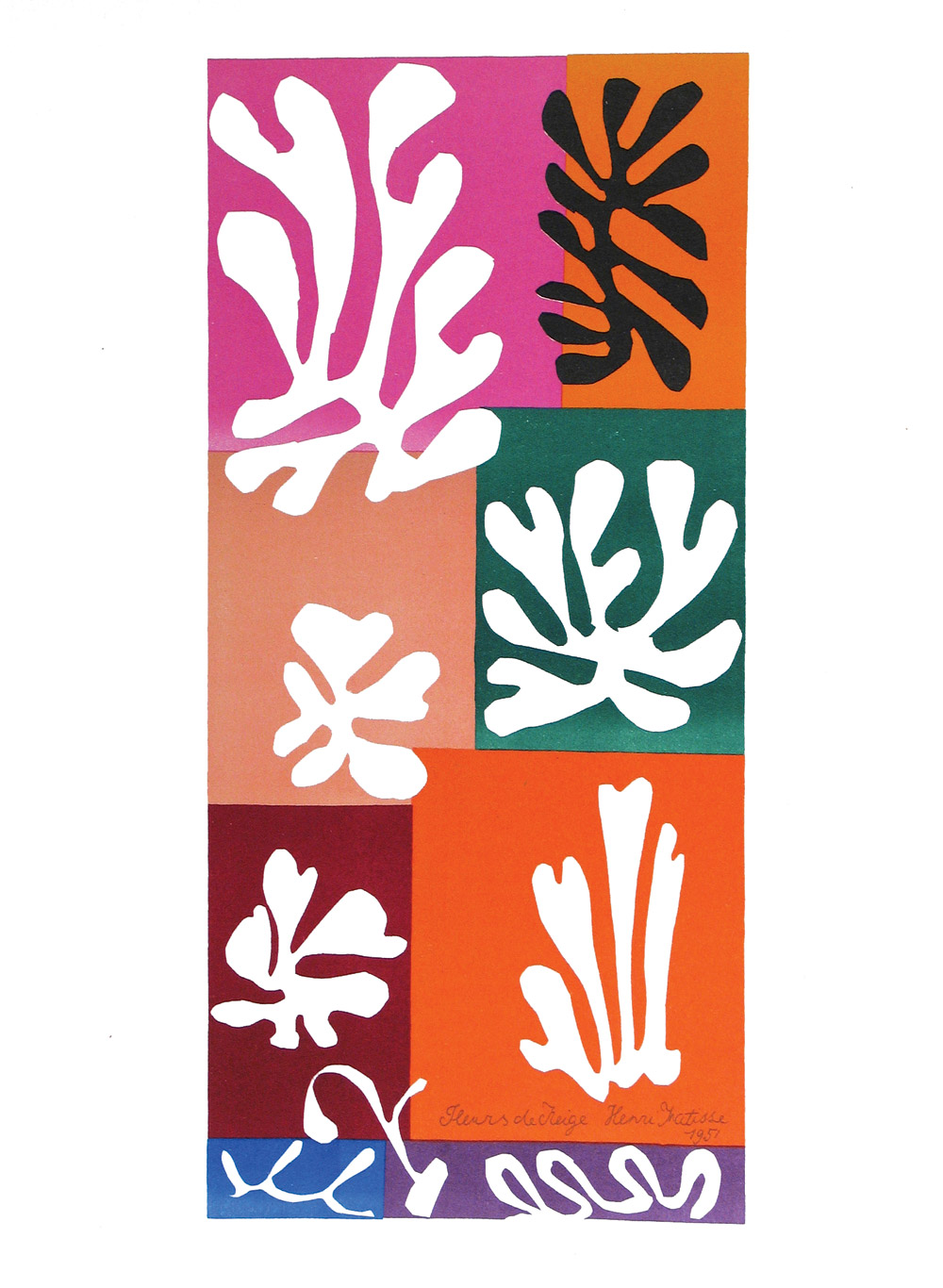 Fleurs de Neige by Henri Matisse
