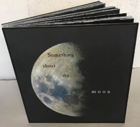 Something About the Moon by Steve Stankiewicz at VanDeb Editions
