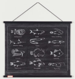 The Ichthyology of Corruption (The Codfather) by Mark Dion at Graphicstudio
