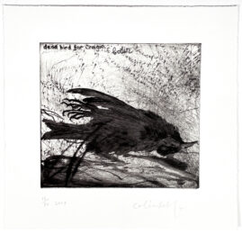Dead Bird for Craigie No. 2 by Colin Self at Petersburg Press