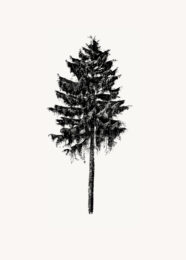 Holz 2021 by Andres Bally + Michael Growe at Emanuel von Baeyer - Cabinet