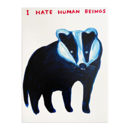 I Hate Human Beings by David Shrigley at MLTPL
