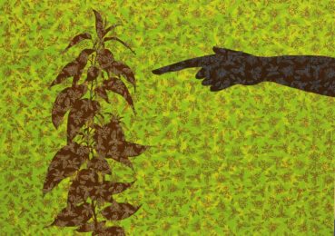 Nettle (Quintet Portfolio) by Stephen Chambers RA at Kip Gresham Editions