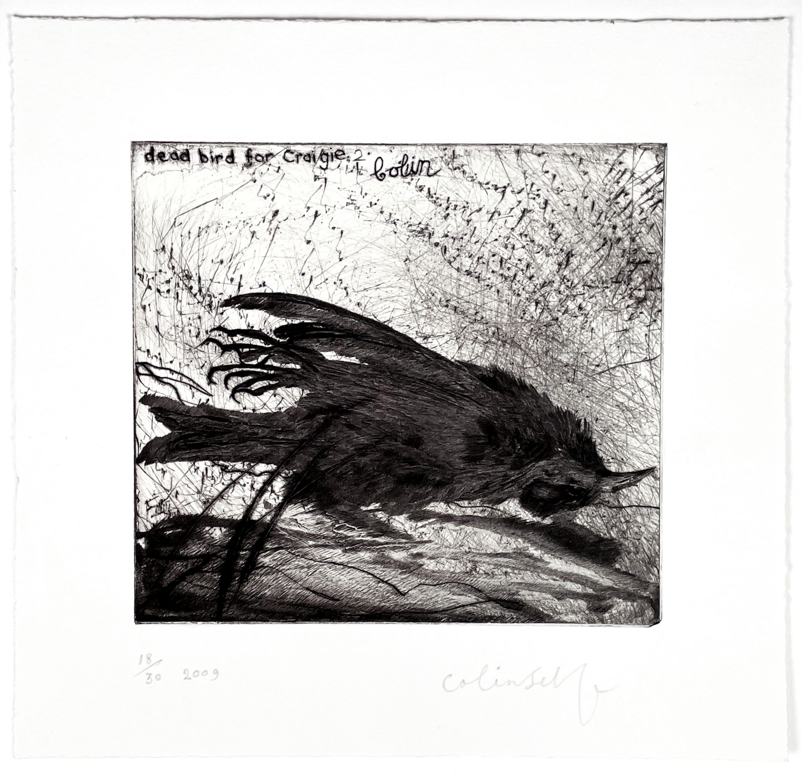 Dead Bird for Craigie No. 2 by Colin Self