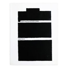 These Enhanced Techniques by Jenny Holzer at MLTPL