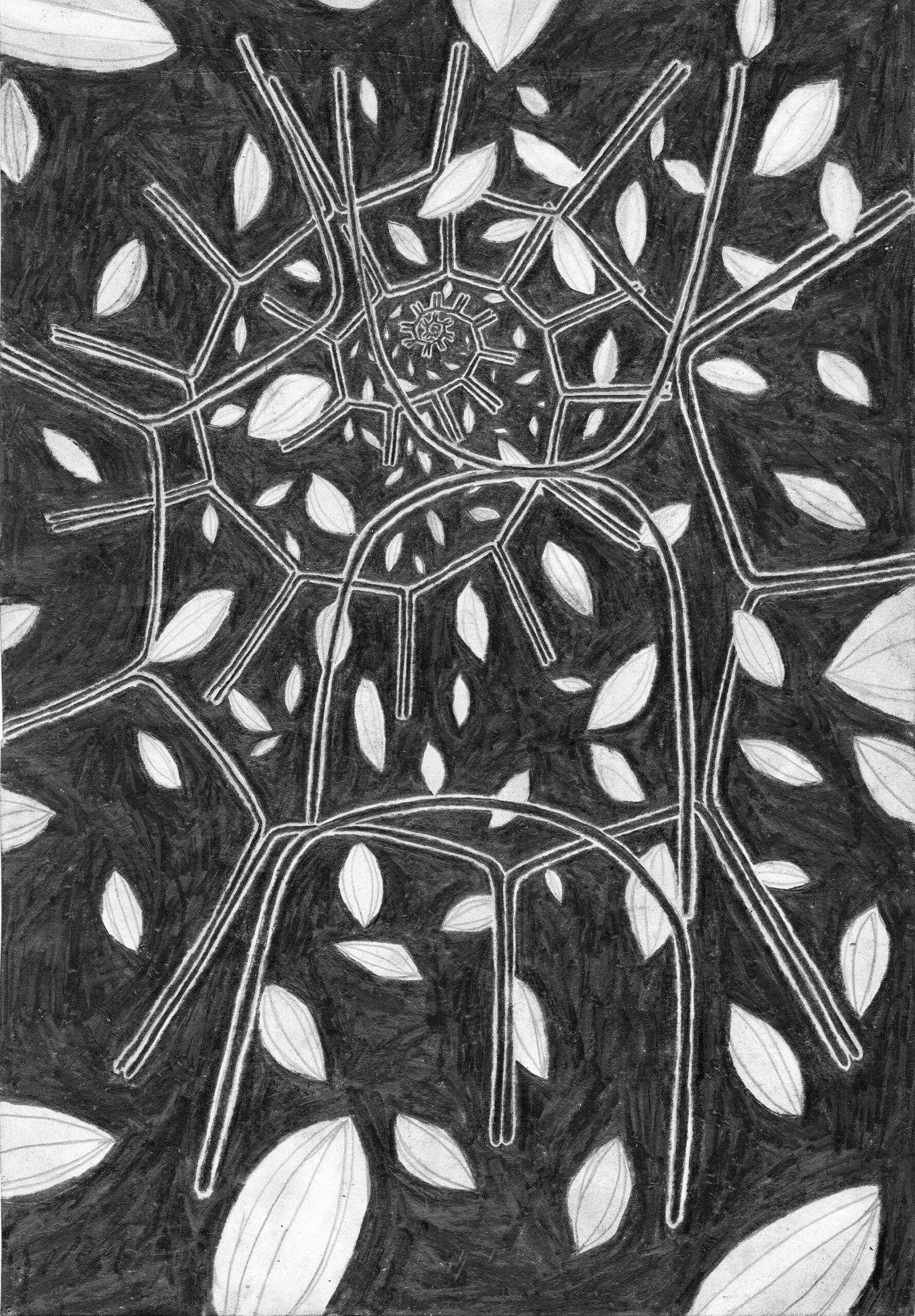 Sh6 by Archie Fooks-Smith