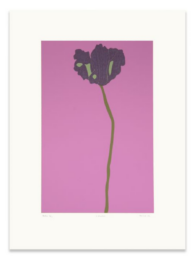 Candy by Gary Hume RA at Royal Academy of Arts