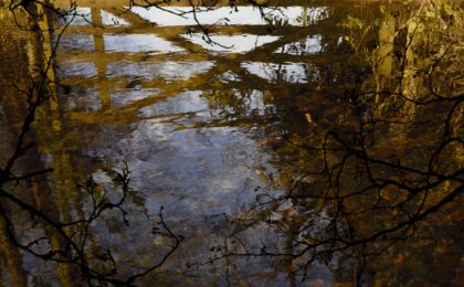 Crossing by Susan Derges at Osborne Samuel Gallery